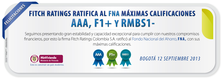Fitch Ratings FNA